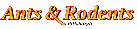 Pittsburgh Ant Exterminator & Rodent Control Company Logo
